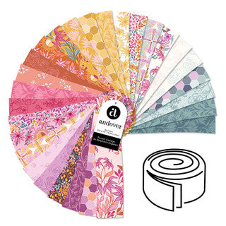 USA雑貨　SCENE SETTERS ROOM ROLL ドル柄　40Ft 2.5