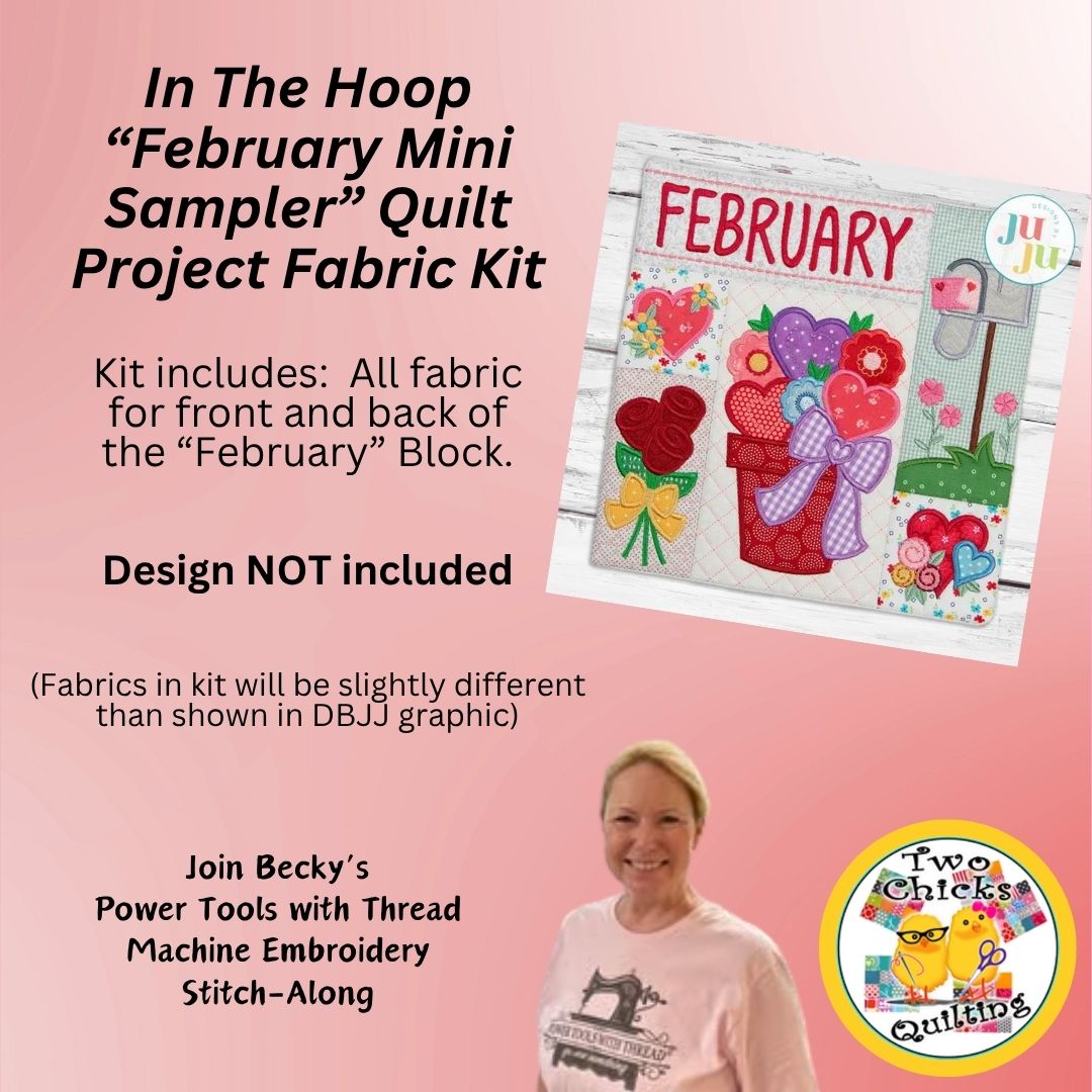 Pre-Order February Mini Sampler Quilt Fabric Kit – Two Chicks Quilting
